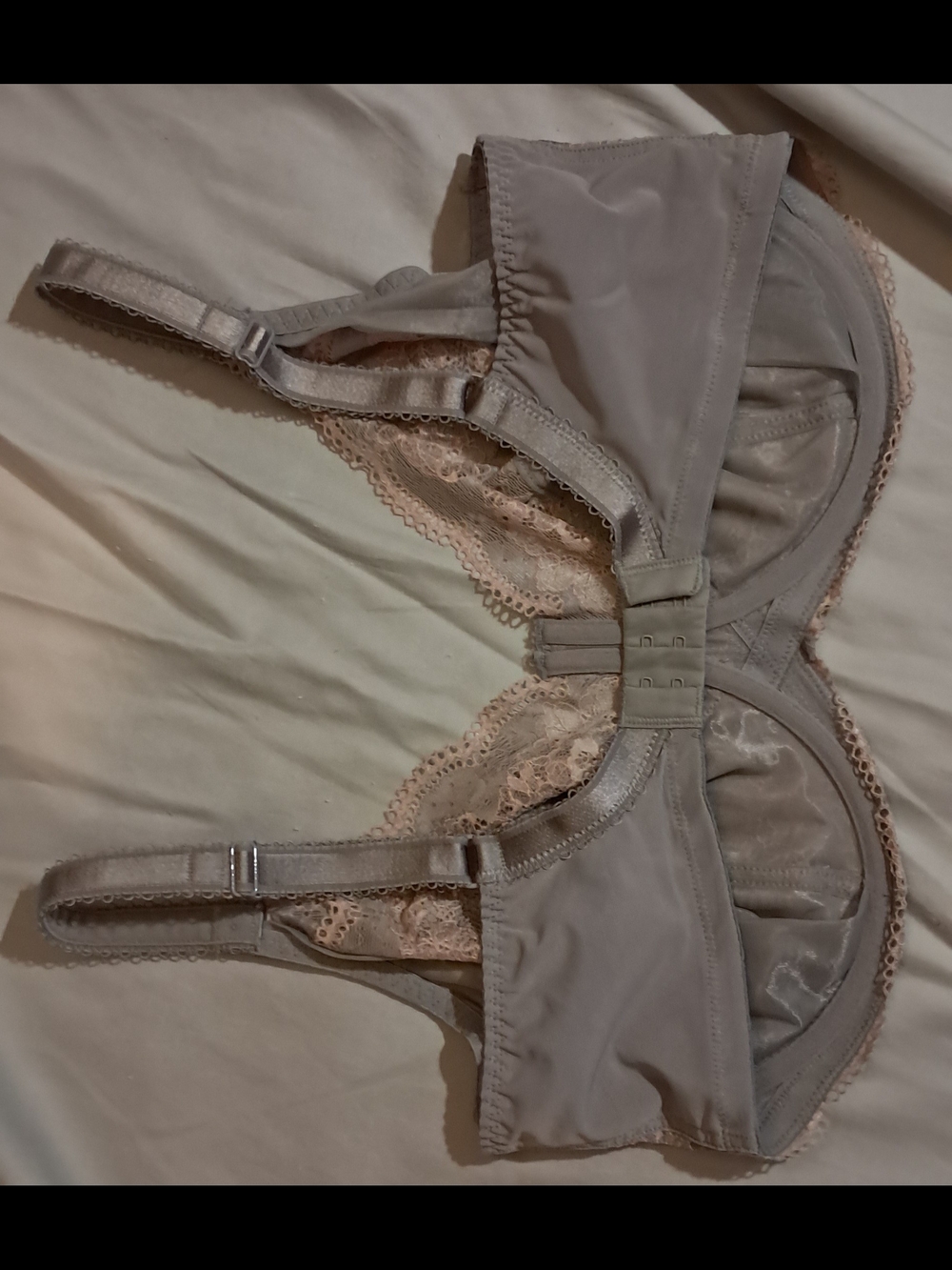 Panache "Clara" Lace Underwire Bra in Blush Pink And Dusty Rose - Picture 4 of 8